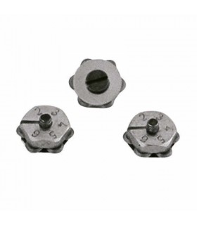 ROSETA SILBERSCHNITT