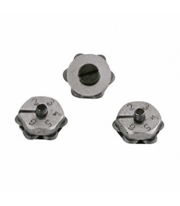 ROSETA SILBERSCHNITT