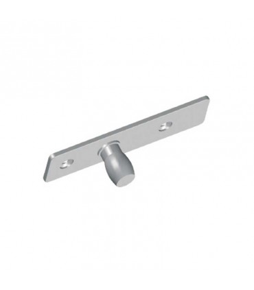 Pivote pletina techo